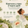 кортизол