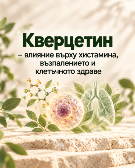 кверцетин